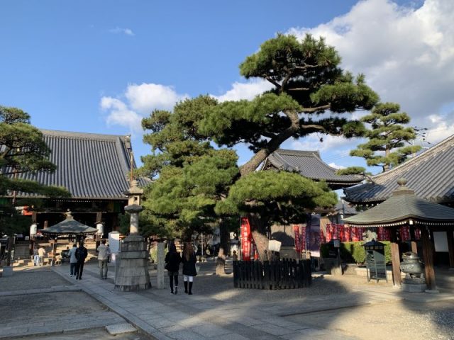 西国三十三ヶ所巡礼　第五札所　葛井寺！