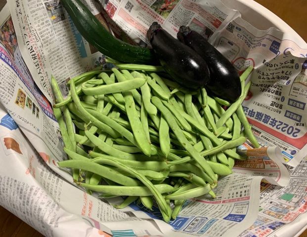 ナス・きゅうり・インゲン豆を頂きました！