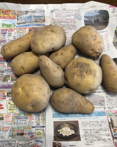 ジャガイモ頂きました！