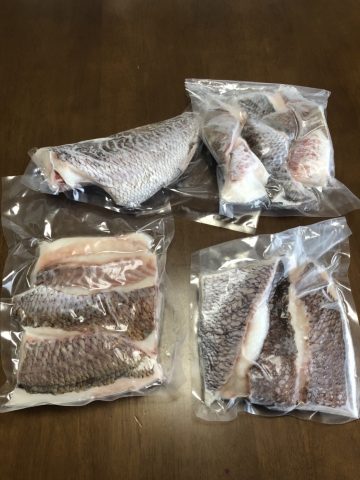 明日は鯛を使います！