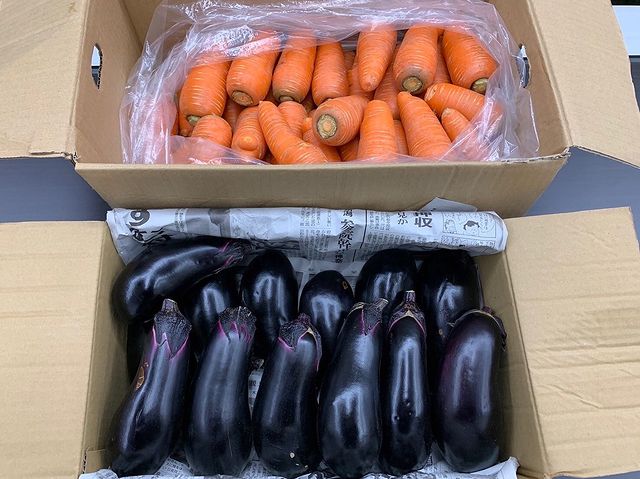 ナスは今日採れたてです！