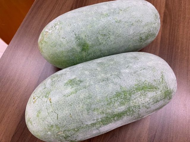 地域の支援活動センター様から冬瓜を頂きました！