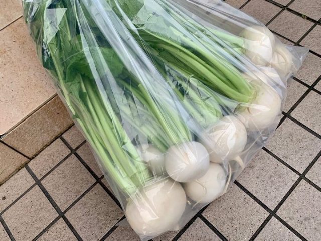 またまた加賀山農園さんからご提供頂きました！