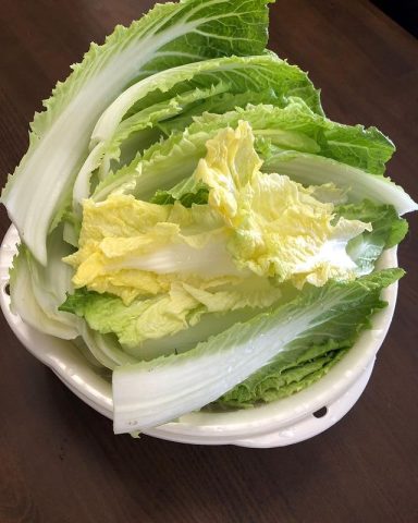 ３月１５日の子ども食堂で作った白菜のクリームスープで使った白菜です！
