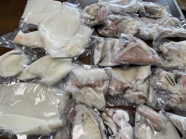 祇園で高級割烹をしている大将からイカをご提供頂きました！