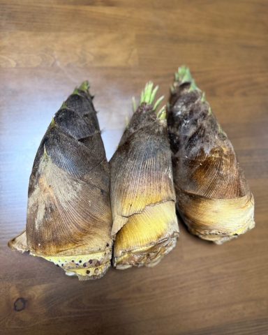 夢みんなの広場子ども食堂を見て頂いて、ご連絡を頂き、竹の子をご提供頂きました！