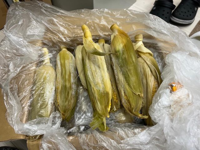 冷凍のとうもろこしを頂きました！